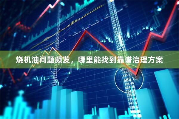 烧机油问题频发，哪里能找到靠谱治理方案
