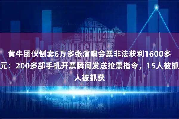 黄牛团伙倒卖6万多张演唱会票非法获利1600多万元：200多部手机开票瞬间发送抢票指令，15人被抓获