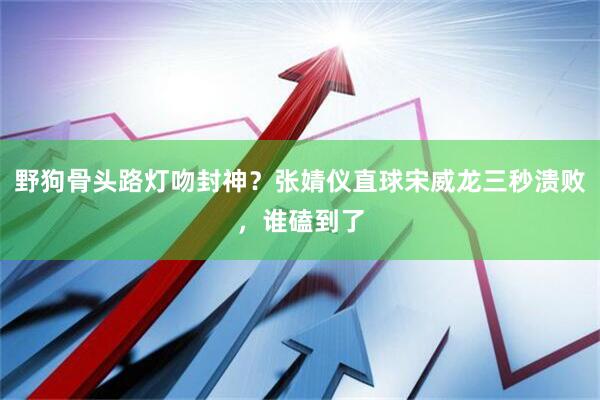 野狗骨头路灯吻封神？张婧仪直球宋威龙三秒溃败，谁磕到了
